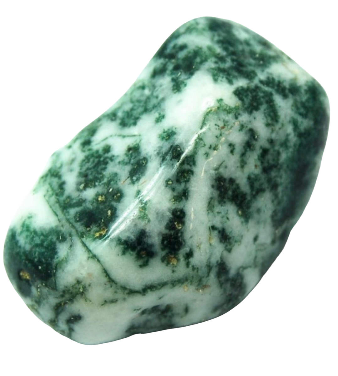 Tree Agate