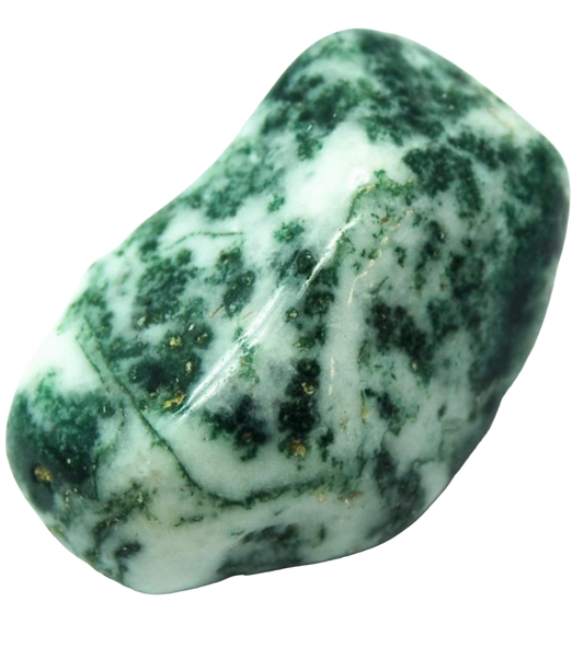 Tree Agate